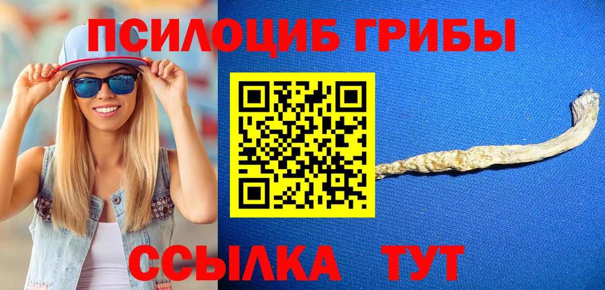 Галлюциногенные грибы Psilocybine cubensis Кольчугино
