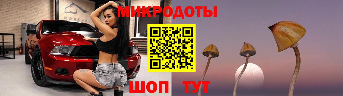 Псилоцибиновые грибы ЛСД  Вход с VPN  Кольчугино  Псилоцибиновые грибы Psilocybe 